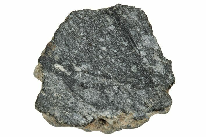 Polished Lunar Meteorite ( g) End Cut Slice - NWA #333160